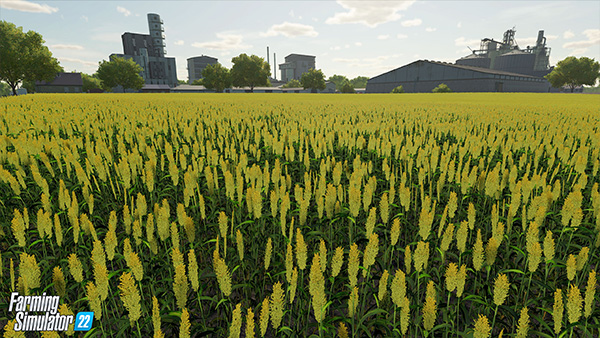 Farming Simulator 22 mods sorghum field, new crops